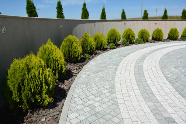 Best Brick Driveway Pavers  in Casselberry, FL
